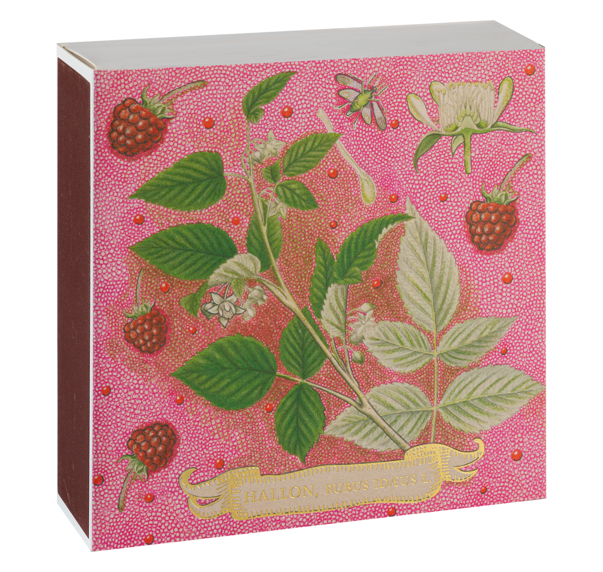Caja de Fósforos